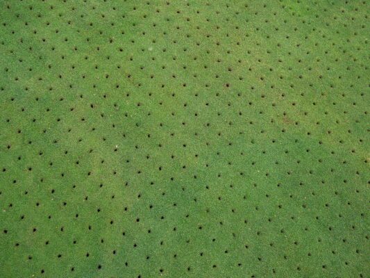 Recently aerated turf