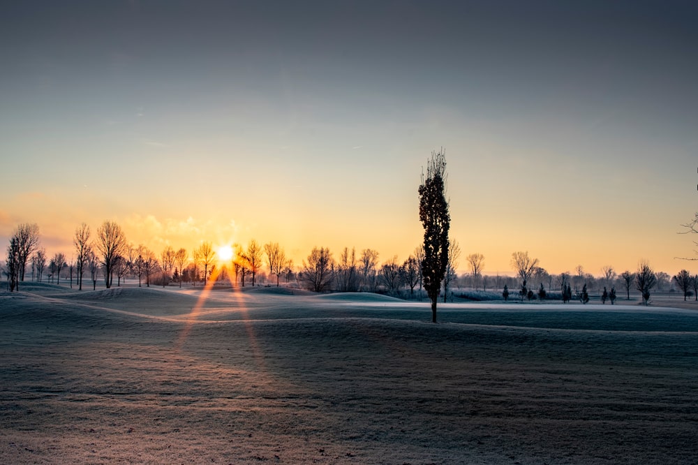 A wintery golf course, with the sun behind trees in the background.